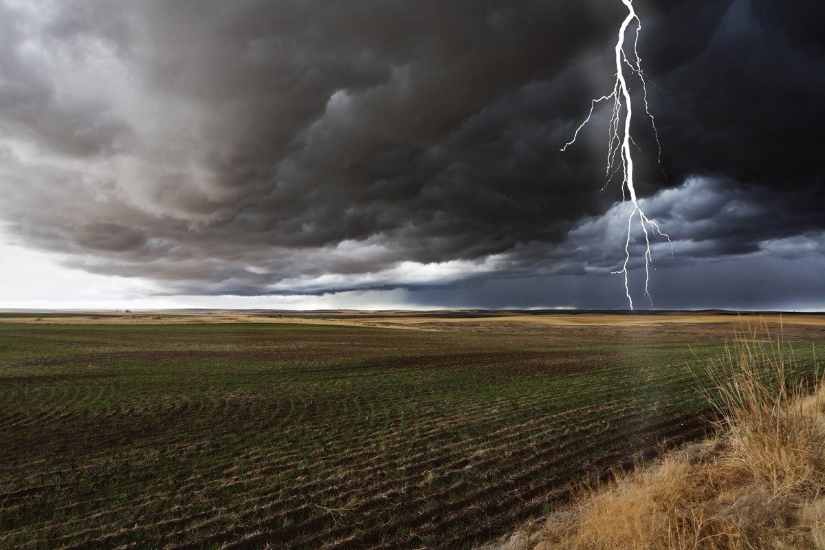 Farm Shock Crop Insurance Claims - COUNTRY Financial